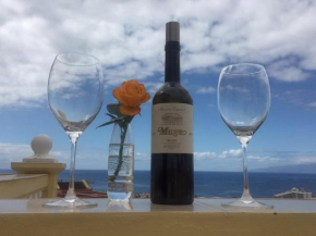 Гостиница Magnific Las Americas view apartment  Адехе